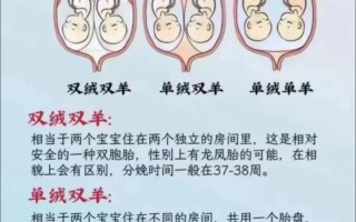 新手爸妈如何区分双胞胎宝宝？外貌相似度高，有哪些实用技巧？