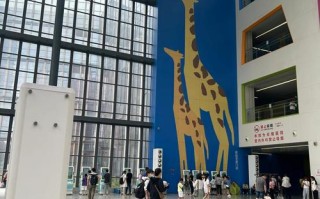 南京市儿童医院儿科实力如何？就医体验与口碑值得信赖吗？