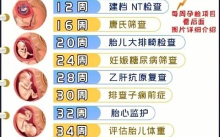 双胎孕期检查项目与单胎有何不同？关键检查有哪些？