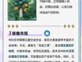 儿童吃木瓜有哪些具体好处？对消化、免疫和生长发育有何影响？