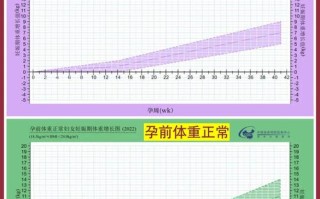 孕期体重增长多少算正常？不同孕周范围有何科学标准？