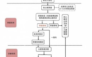 新生儿疾病筛查工作计划如何确保覆盖全面与结果准确？