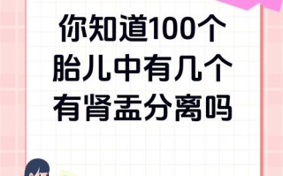 新生儿肾盂分离的自愈率究竟有多高？不同情况下的自愈可能性又有多大呢？