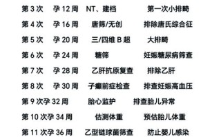 为了确保母婴安全，整个孕期究竟有哪些必须做的检查项目？新手妈妈千万别错过！