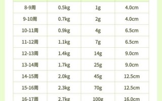 怀孕期间体重增长多少斤才算正常？不同孕周该如何科学控制？