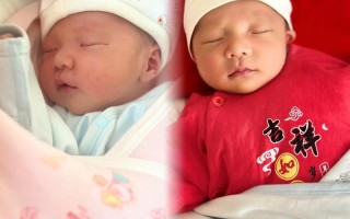 新生儿黄疸高吃金双歧