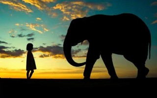 东斓宝贝智能儿童摄影如何用科技捕捉孩子纯真瞬间？