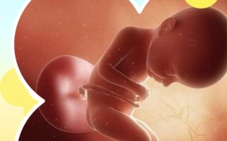 怀孕五月胎儿发育到什么程度了？B超能看清哪些细节？