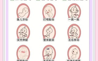 整个孕期胎动少而且轻