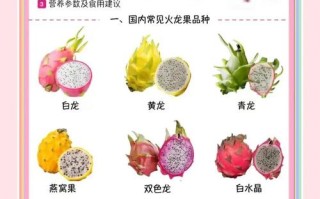 备孕期间吃火龙果有什么好处？会不会影响受孕呢？