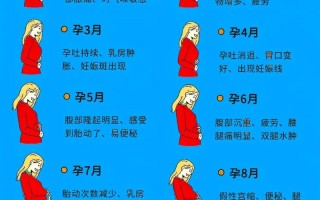 孕期下午反应大真能判断胎儿性别吗？科学依据是什么？