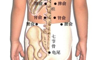 儿童脾虚拔罐位置图，哪些穴位安全有效？家长如何正确操作？