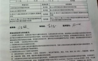 孕期DNA亲子鉴定费用多少？