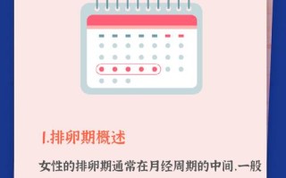 月经过后几天最容易受孕？排卵期计算与受孕黄金时间解析