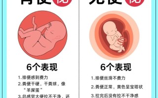 孕期便秘频发，该如何有效缓解？