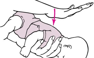 新生儿拍背正确方法图，不同月龄宝宝拍背手法有区别吗？