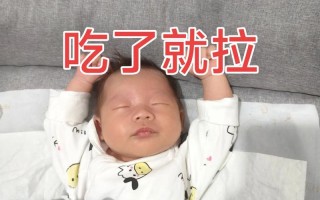 新生儿频繁吃拉循环，是正常生理需求还是消化信号异常？