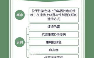 新生儿可能携带哪些遗传病？如何早期筛查与干预？