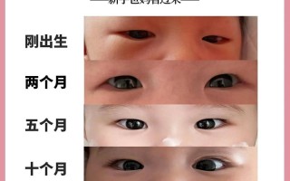 新生儿出生后眼睛视力发育全过程是怎样的？多久才能清晰看见世界？