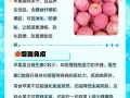 儿童吃苹果究竟有哪些具体好处？不同年龄段的孩子吃苹果有差异吗？