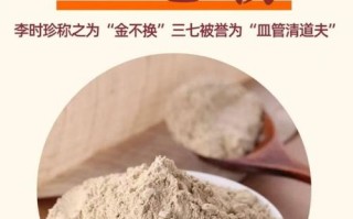 备孕期间能喝三七粉吗