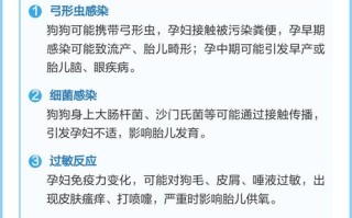 孕期养狗对孕妇和胎儿到底有哪些潜在影响？