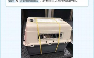 飞机托运儿童价格怎么算？不同航空公司收费标准差异大吗？