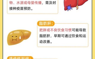 儿童肝功能异常究竟是什么原因导致的？家长该如何科学应对与预防？