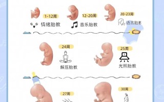 孕期如何精准排查胎儿脑神经发育异常？检查方法有哪些？