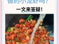 怀孕期间吃龙虾会致胎儿过敏吗？有哪些注意事项？