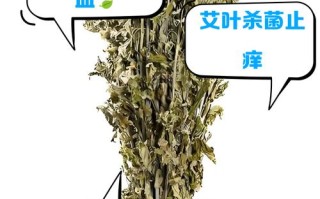 孕期用艾叶水洗澡真的安全吗？会对胎儿有不良影响吗？