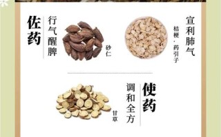 参苓白术散儿童服用需注意哪些事项与剂量？