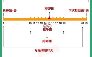 女生月经后几天最容易受孕？排卵期与月经周期的科学关联是什么？