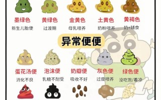 新生儿3天未排便，是正常生理现象还是需要警惕的健康信号？