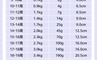 孕期体重哪个阶段增长最快？