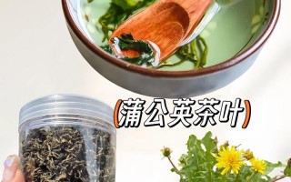 儿童喝蒲公英茶安全吗？有哪些注意事项与适宜饮用量？