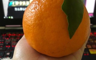 孕期大量食用橙子橘子，会对胎儿或孕妇产生哪些潜在影响？