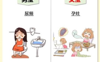 孕期判断胎儿性别的方法有哪些？科学依据是什么？