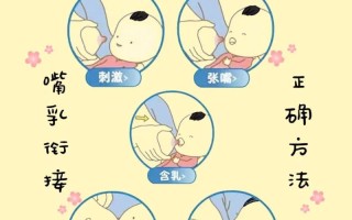 新生儿母乳喂养有哪些正确姿势？新手妈妈如何判断宝宝是否含接正确？