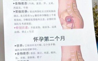 孕期初期需要注意事项
