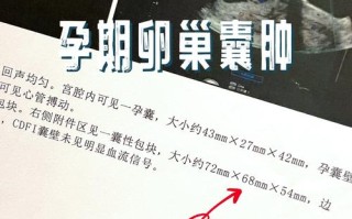 孕期黄体囊肿会自行消失吗？对胎儿有影响吗？需要治疗吗？