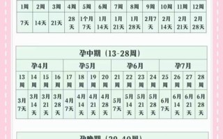 孕期究竟按28天还是自然月算？不同孕周换算方式差异有多大？