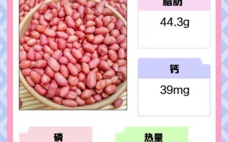 儿童每天吃点花生好吗？适量摄入有哪些益处与潜在风险？