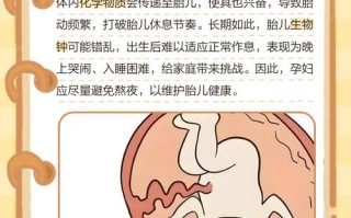 孕期长期晚睡会对胎儿发育产生哪些潜在影响？
