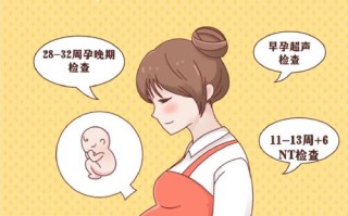 怀孕期间彩超该做几次才合适？