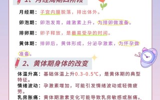 怀孕期间属于黄体期吗