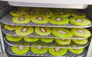 孕期食用猕猴桃干会致胎儿过敏吗？有哪些注意事项？