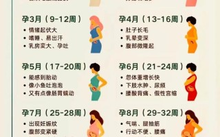 孕期心跳加快到底是怎么回事？是正常生理反应还是疾病的预警信号？