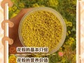 备孕期间吃花粉到底安全吗？对怀孕有潜在影响吗？