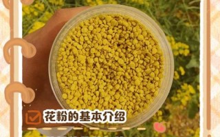 备孕期间吃花粉到底安全吗？对怀孕有潜在影响吗？